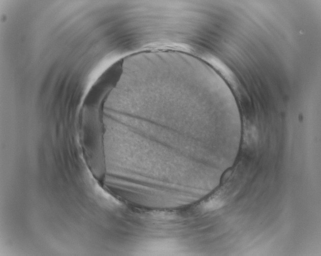 X0000088191102200706121709