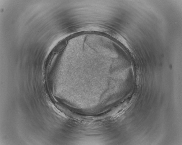 X0000088191116200706121709