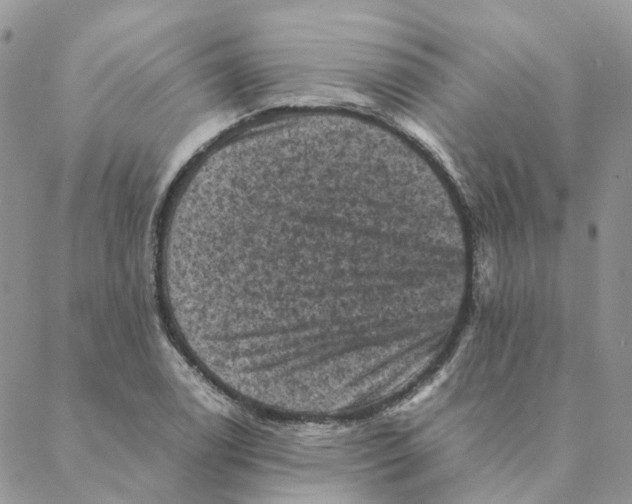 X0000088191122200706121709