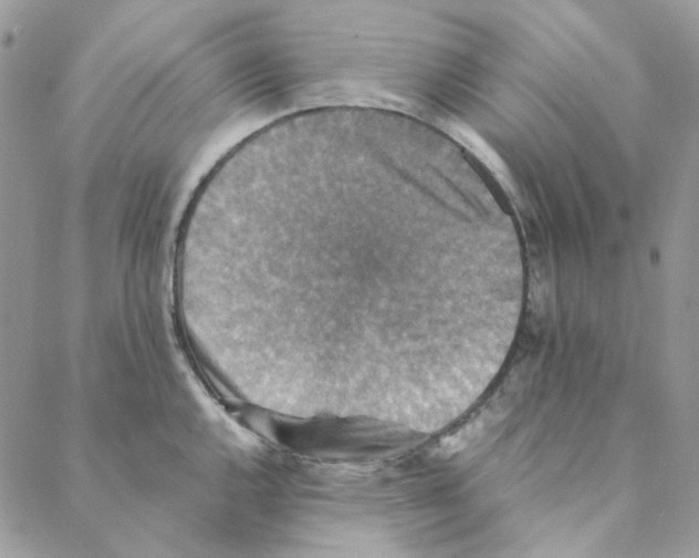X0000088191144200706121709