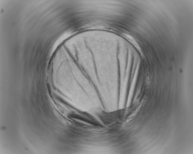 X0000088191146200706121709