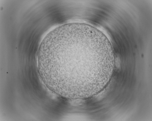 X0000088191150200706121709