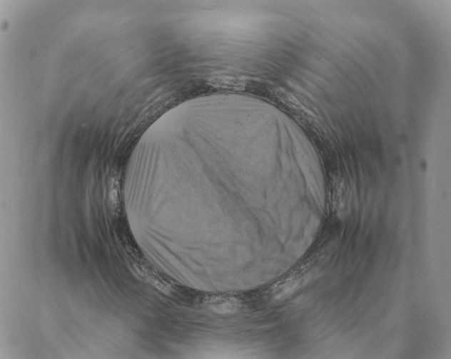 X0000088191154200706121709