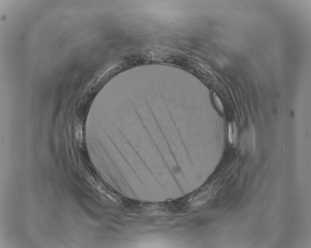 X0000088191155200706121709