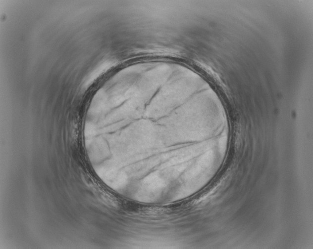 X0000088191163200706121708