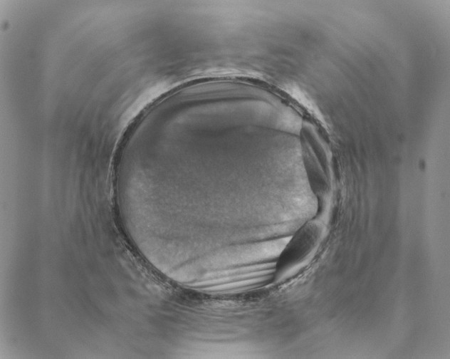 X0000088191173200706121708