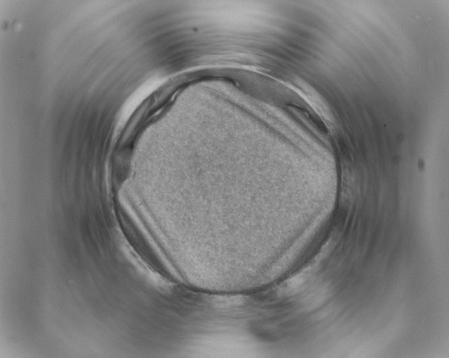 X0000088191196200706121708