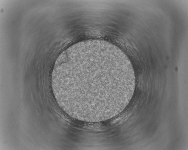 X0000088191201200706121707