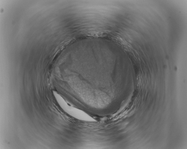 X0000088191202200706121707