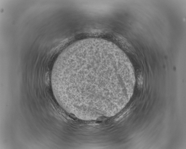 X0000088191204200706121707