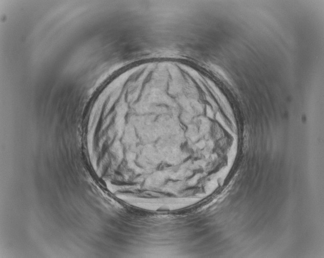 X0000088191212200706121707