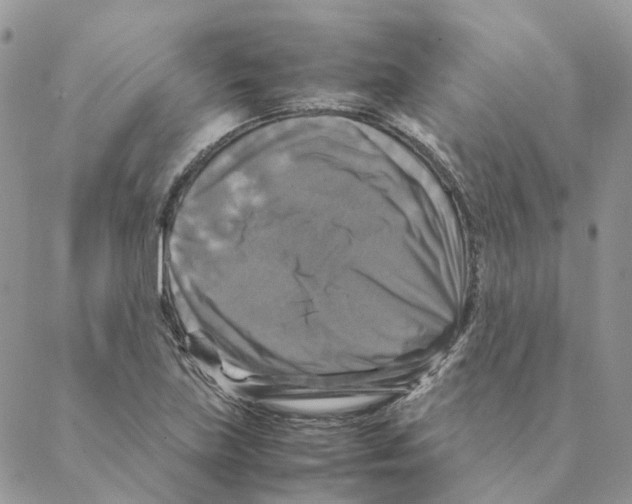 X0000088191219200706121707