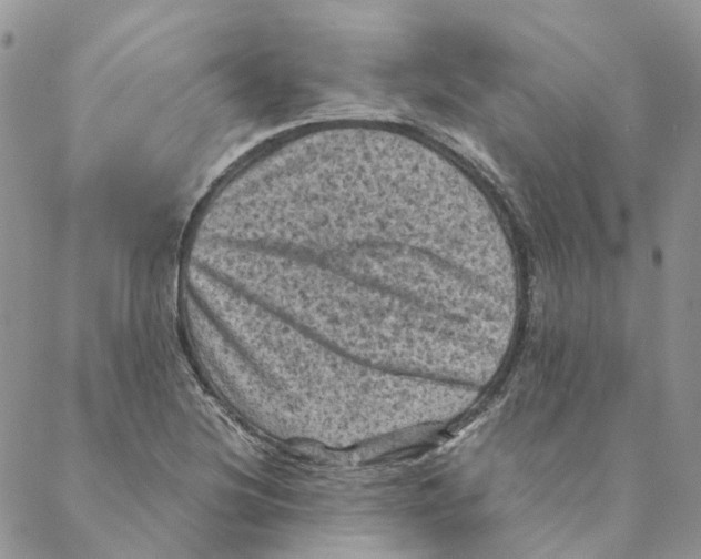 X0000088191220200706121707
