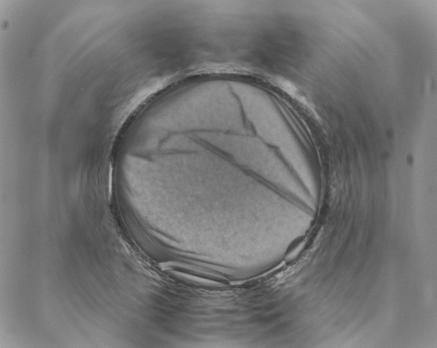 X0000088191221200706121707