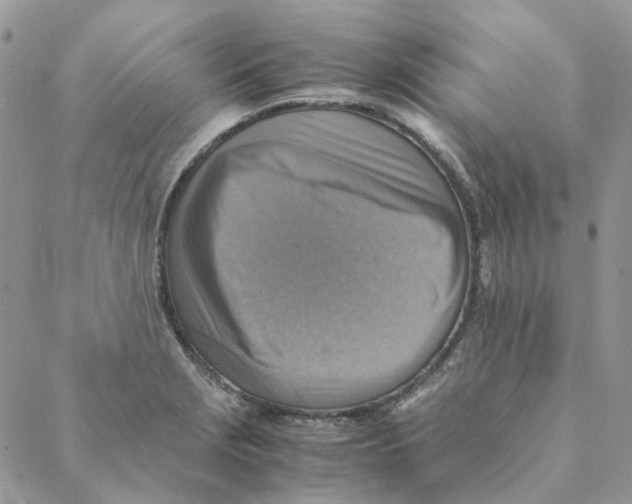 X0000088191229200706121707