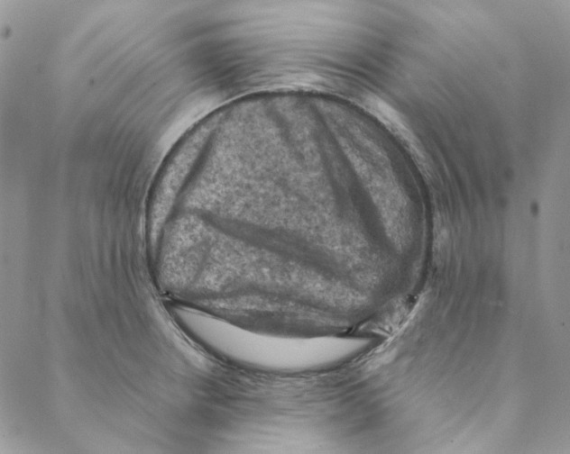 X0000088191234200706121708