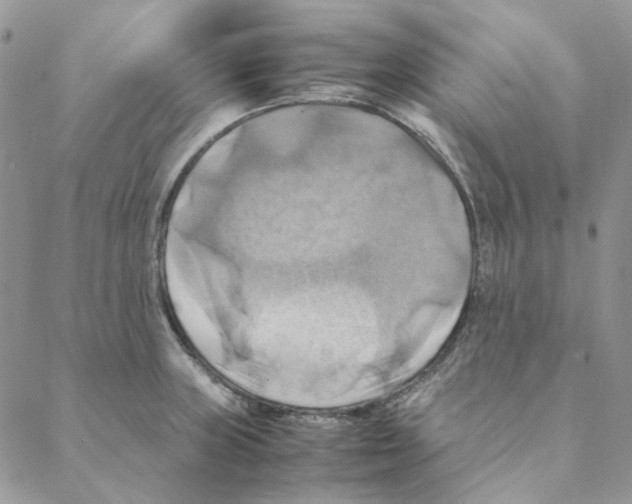 X0000088191235200706121708