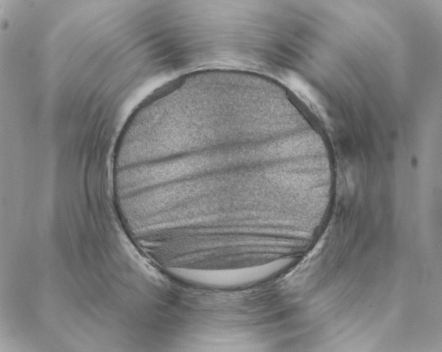 X0000088191238200706121708