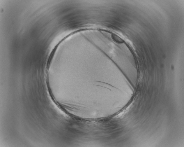 X0000088191239200706121708
