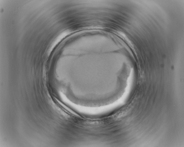 X0000088191243200706121708