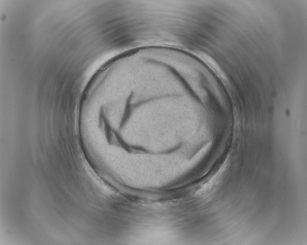 X0000088191246200706121708
