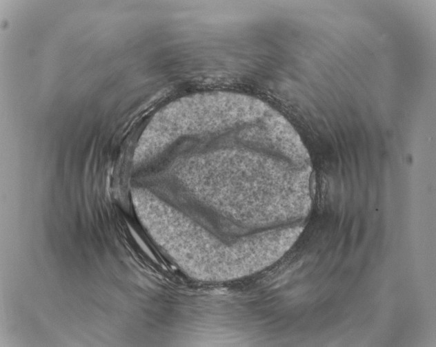 X0000088191250200706121707