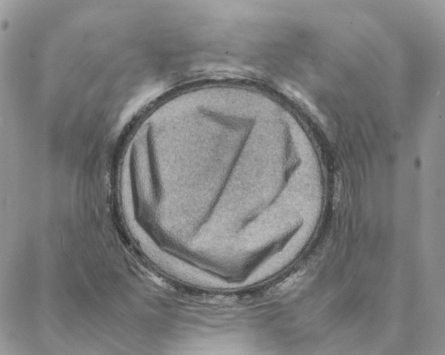 X0000088191261200706121707