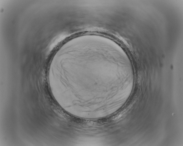 X0000088191263200706121707