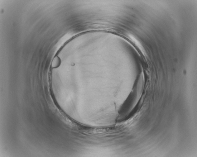 X0000088191291200706121706