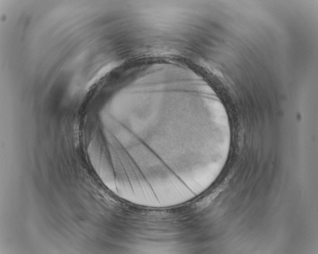 X0000088191306200706121706
