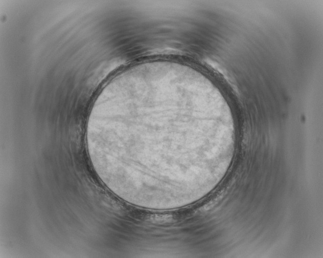 X0000088191313200706121706