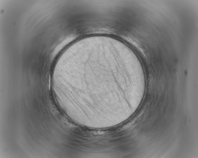 X0000088191317200706121706