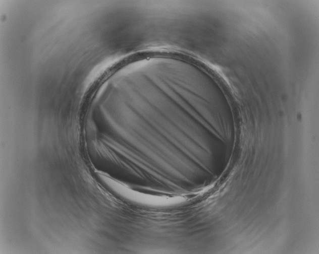 X0000088191319200706121706