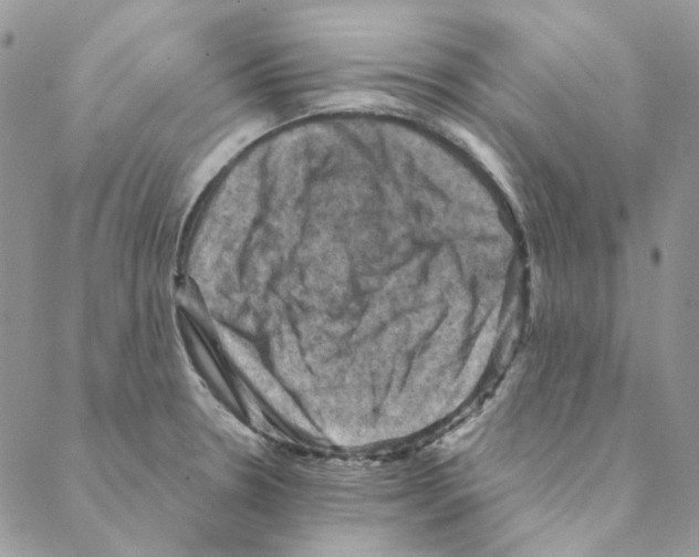 X0000088191330200706121706