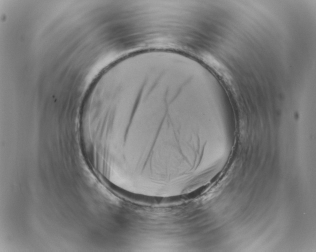 X0000088191334200706121706