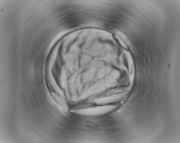 X0000088191339200706121706
