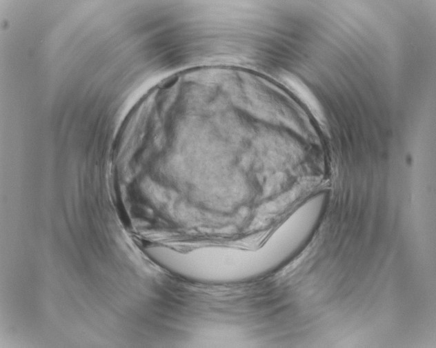 X0000088191340200706121706