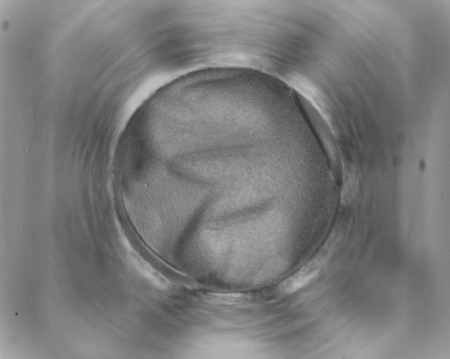 X0000088191342200706121706