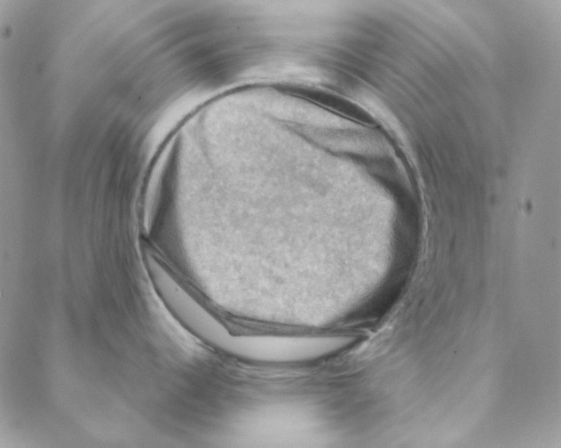 X0000088191344200706121706