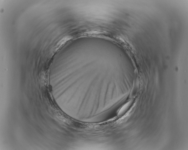 X0000088191353200706121705
