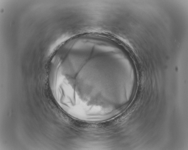 X0000088191359200706121705