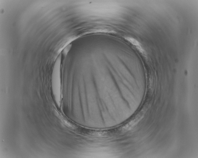 X0000088191369200706121705
