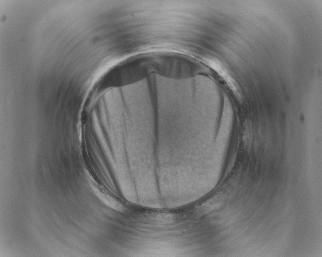 X0000088191372200706121705