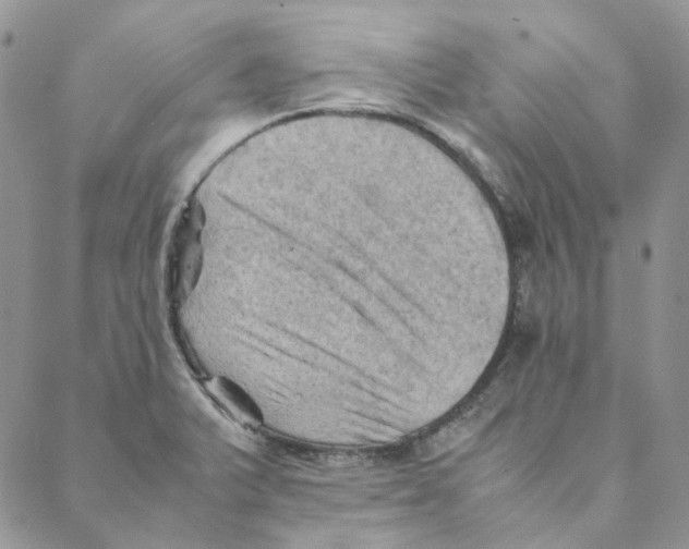 X0000088191375200706121705