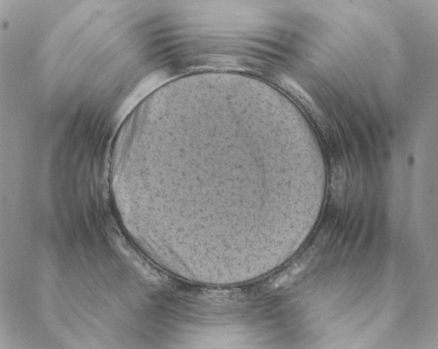 X0000088191378200706121705