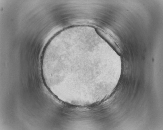X0000088191384200706121705