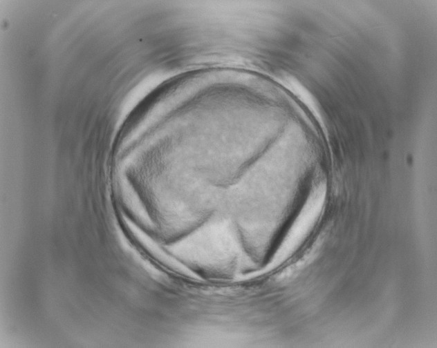 X0000088191389200706121705