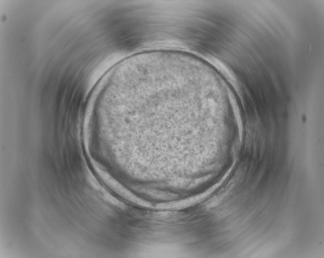 X0000088191390200706121705