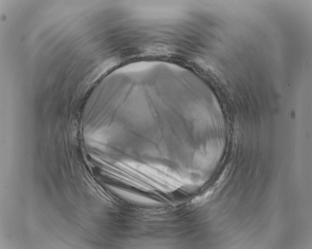 X0000088191401200706121704