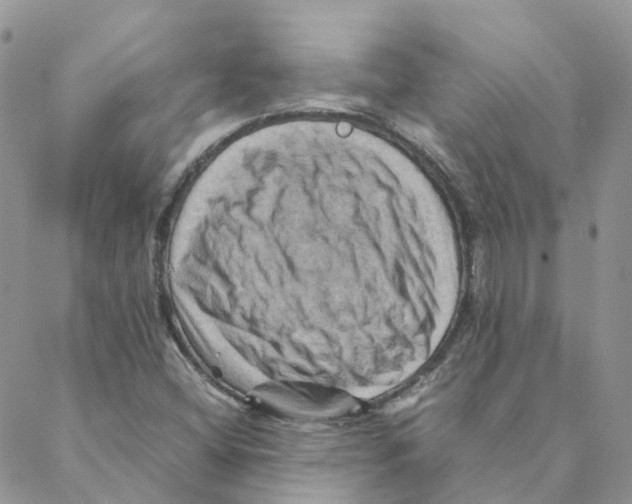 X0000088191404200706121704